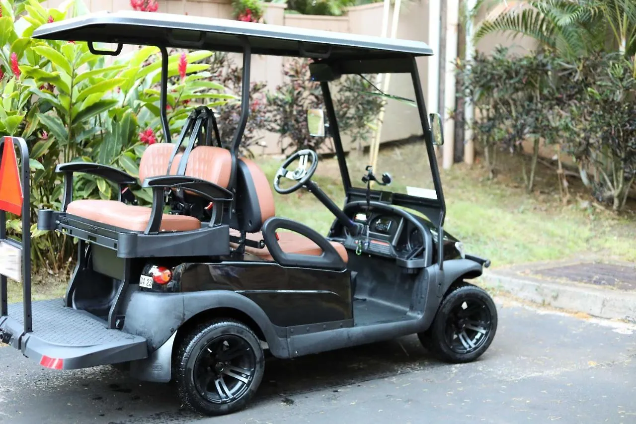 Bright And Airy Lahaina Condo - Walk To Beach! Kahana Apartment